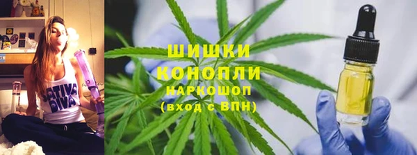 каннабис Богданович